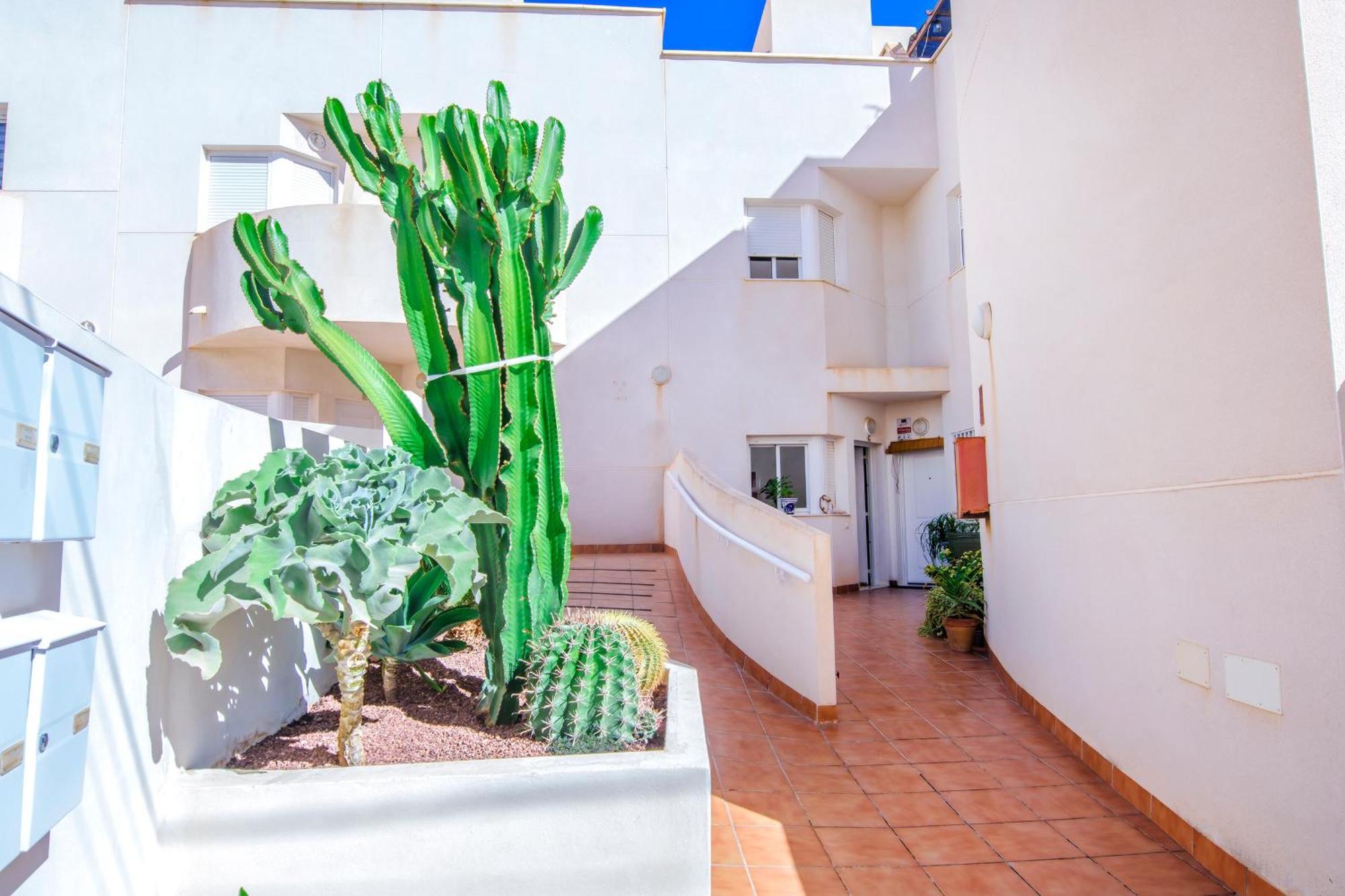 Beach House Millares Carboneras Dış mekan fotoğraf